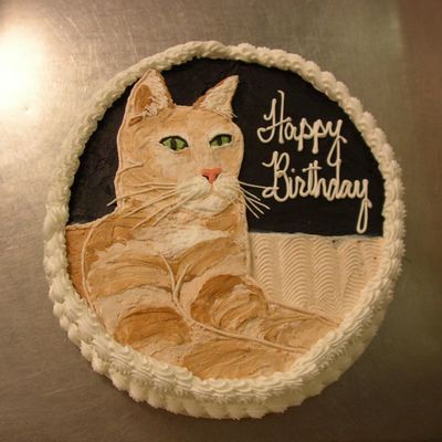 Happy Birthday Kitty!