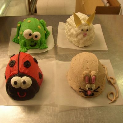 My Critter Cakes!
