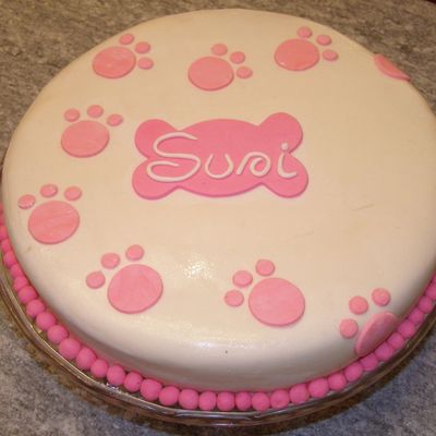 My Labrador Birthday