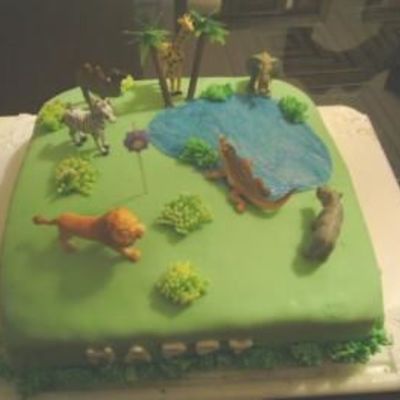 Jungle Cake