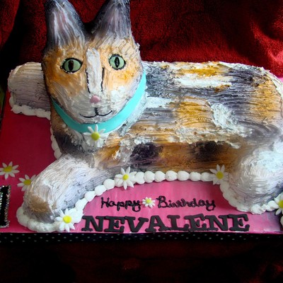 Cat Cake