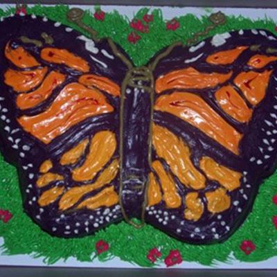 Butterfly Cake
