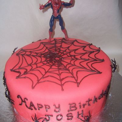 Spiderman Party