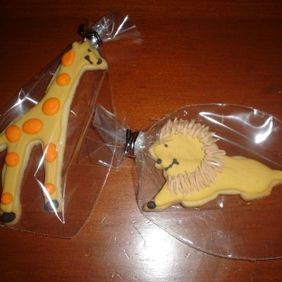 Safari Cookies
