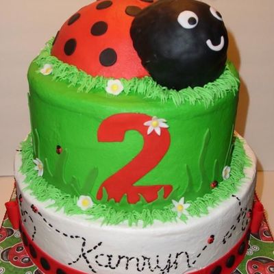 Ladybug Cake