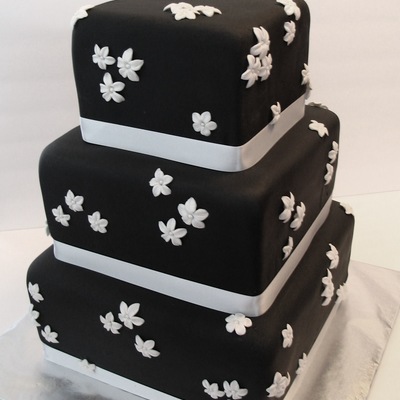 Black And White Elegance