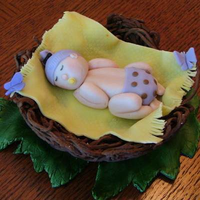 Baby In A Bird's Nest