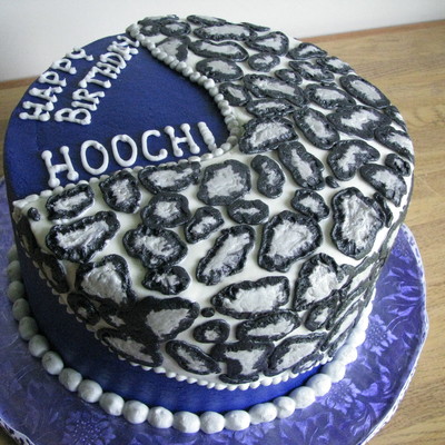 Purple Metalllic Leopard Print