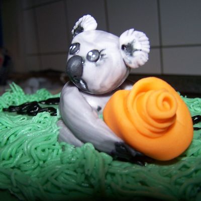 Koala Bear