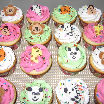 Zoo Cupcakes