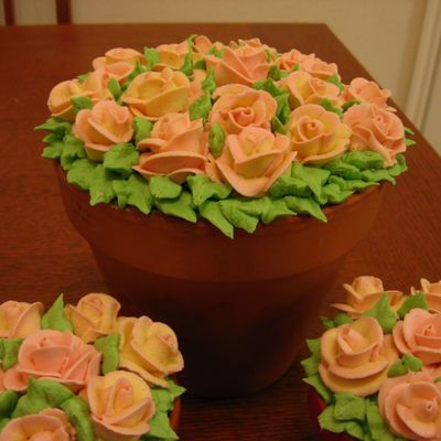 Flower Pot Cake