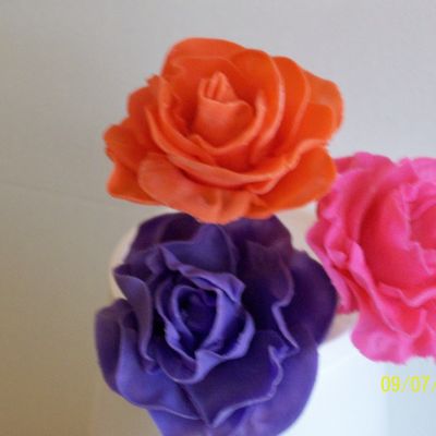 Smell The Roses