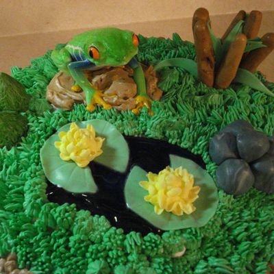 Frog Cake