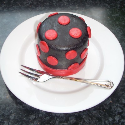 Mini Ladybug