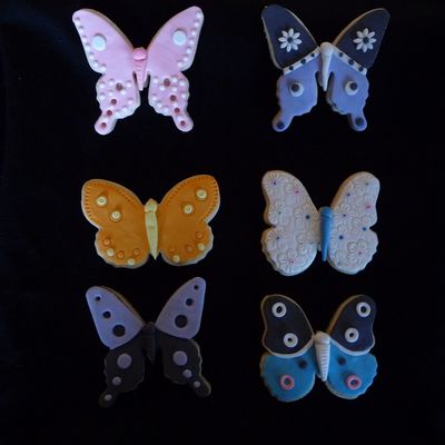 Butterfly Garden