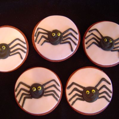 Spiders
