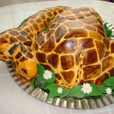 Sleeping Baby Giraffe