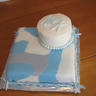 Winter Camo Cake