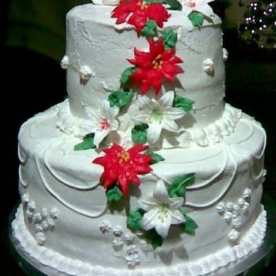 Christmas Party Cake