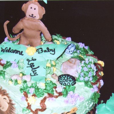 Jungle Book- Close Up