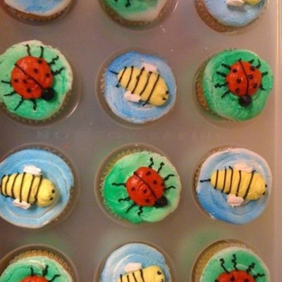 Bumblebee's And Ladybugs