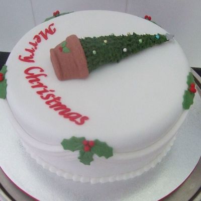 Christmas Tree In Pot