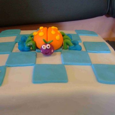 Spider On A Chess Board