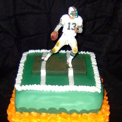 Miami Dolphins