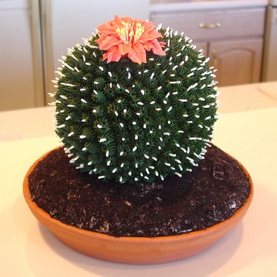 Cactus Cake