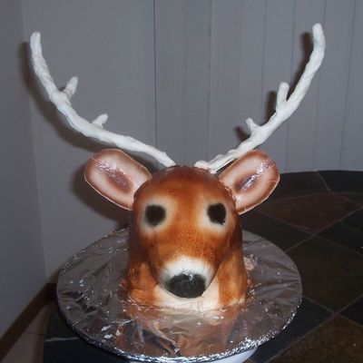 Deer