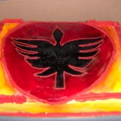 Power Rangers Made For A Friends Son