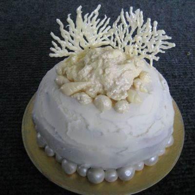 Coral & Seashells Cake