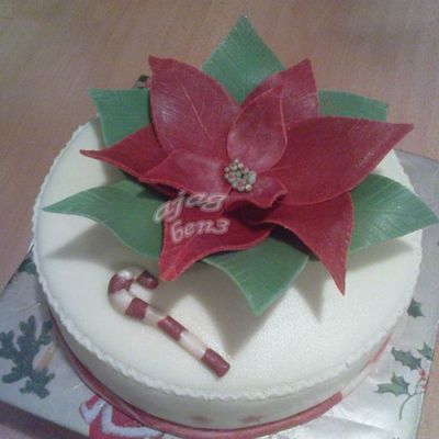 Christmas Cake
