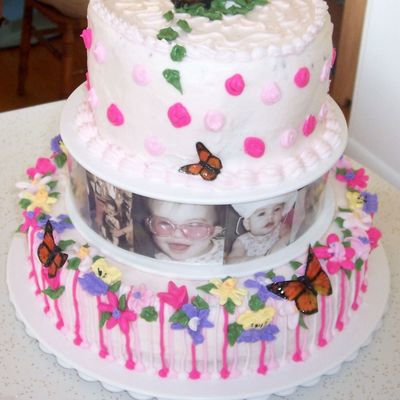 Pink Butterfly Cake