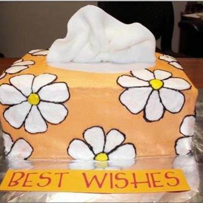 Tissue Box Cake