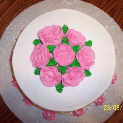 Wilton Course 1 Cake ( Top View )
