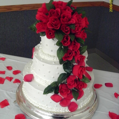 Kelly's Rose Cascade