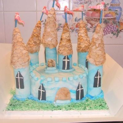 Castle Fit For A Birthday Boy