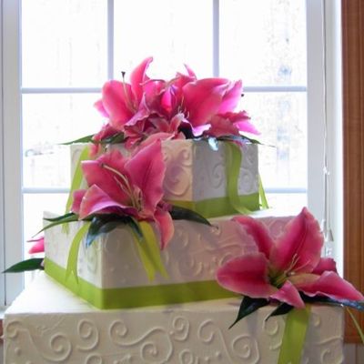 Square Stargazer Wedding