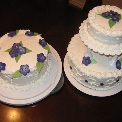 Wilton 3 Class Cakes...