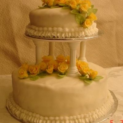 Wilton Class Iii Final Cake