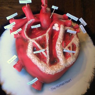 Heart Cake