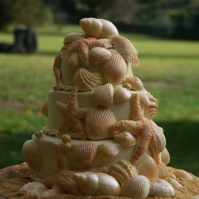 Seashell Birthday Cake
