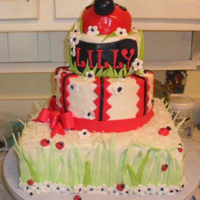 Ladybug Birthday Cake