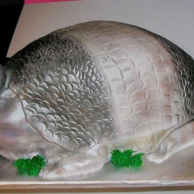 Armadillo Grooms Cake