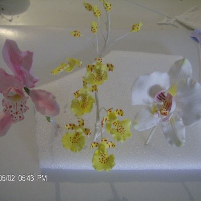 Fotos_De_Orqideas_012.jpg