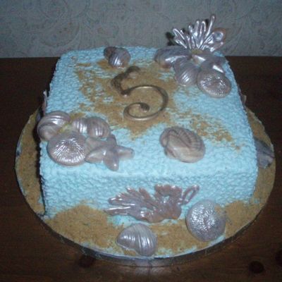 5 Year Work Anniversary Beach Cake