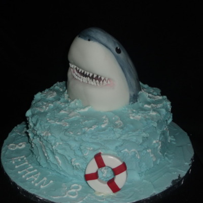 Shark Cake