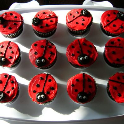 Ladybug Cupcakes