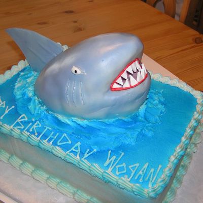 Shark Cake